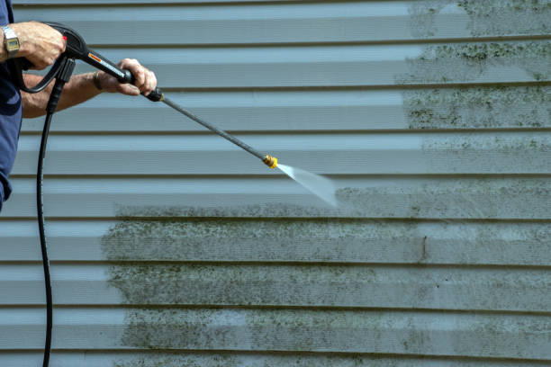 Best House Pressure Washing  in Luverne, MN